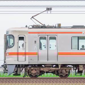 JR東海静岡車両区211系5000番台LL1編成＋313系2300番台W7編成（海側