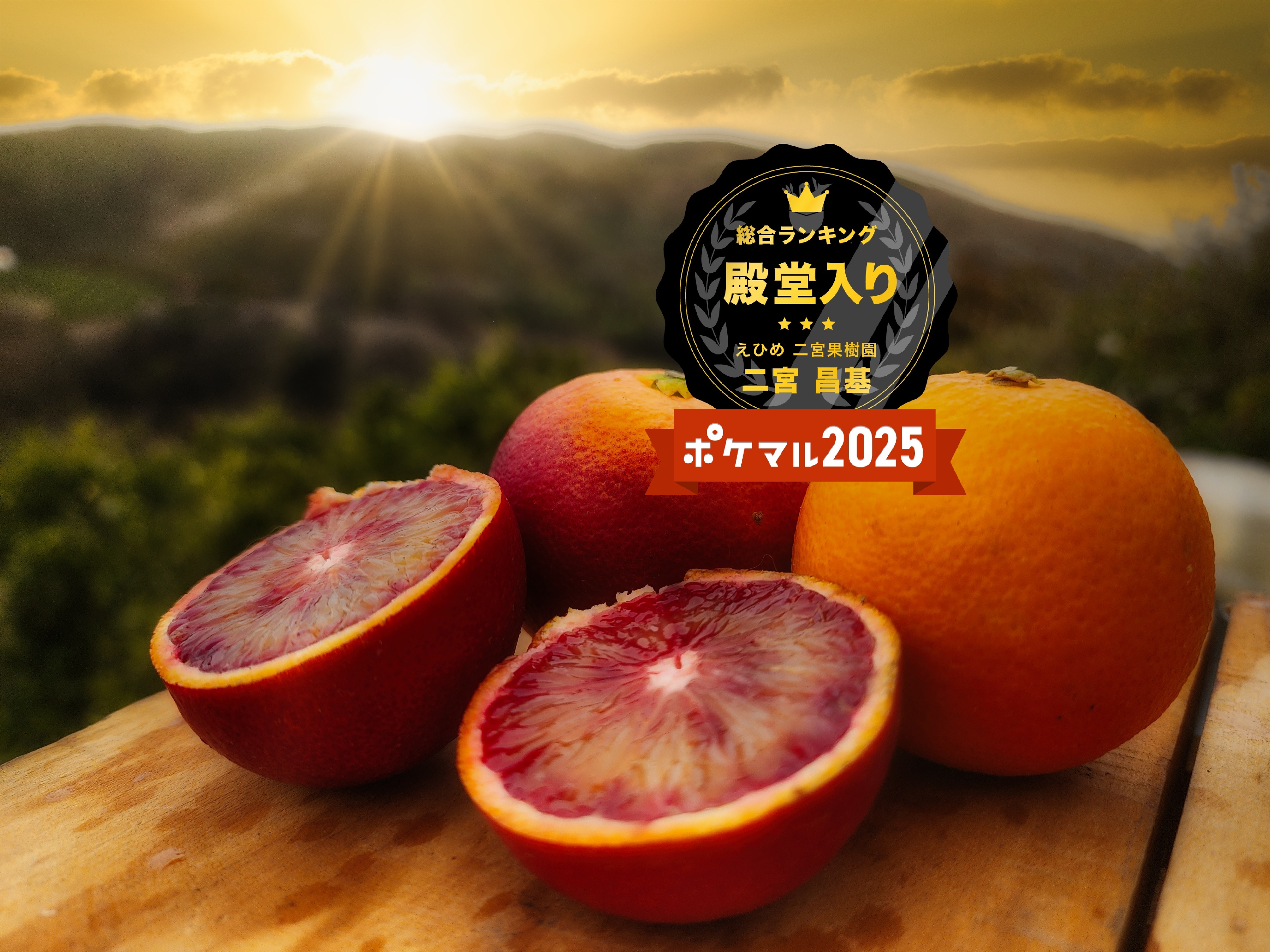 ブラッドオレンジモロ 特別価格 最大20％オフ｜オレンジの商品詳細