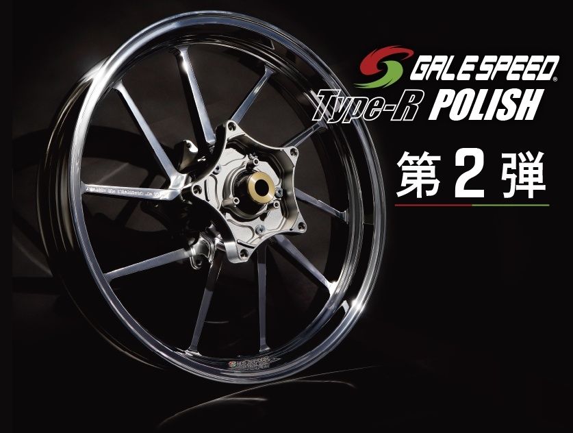 Webike | GALE SPEED ゲイルスピード 【限定品】【TYPE-R 前後セット