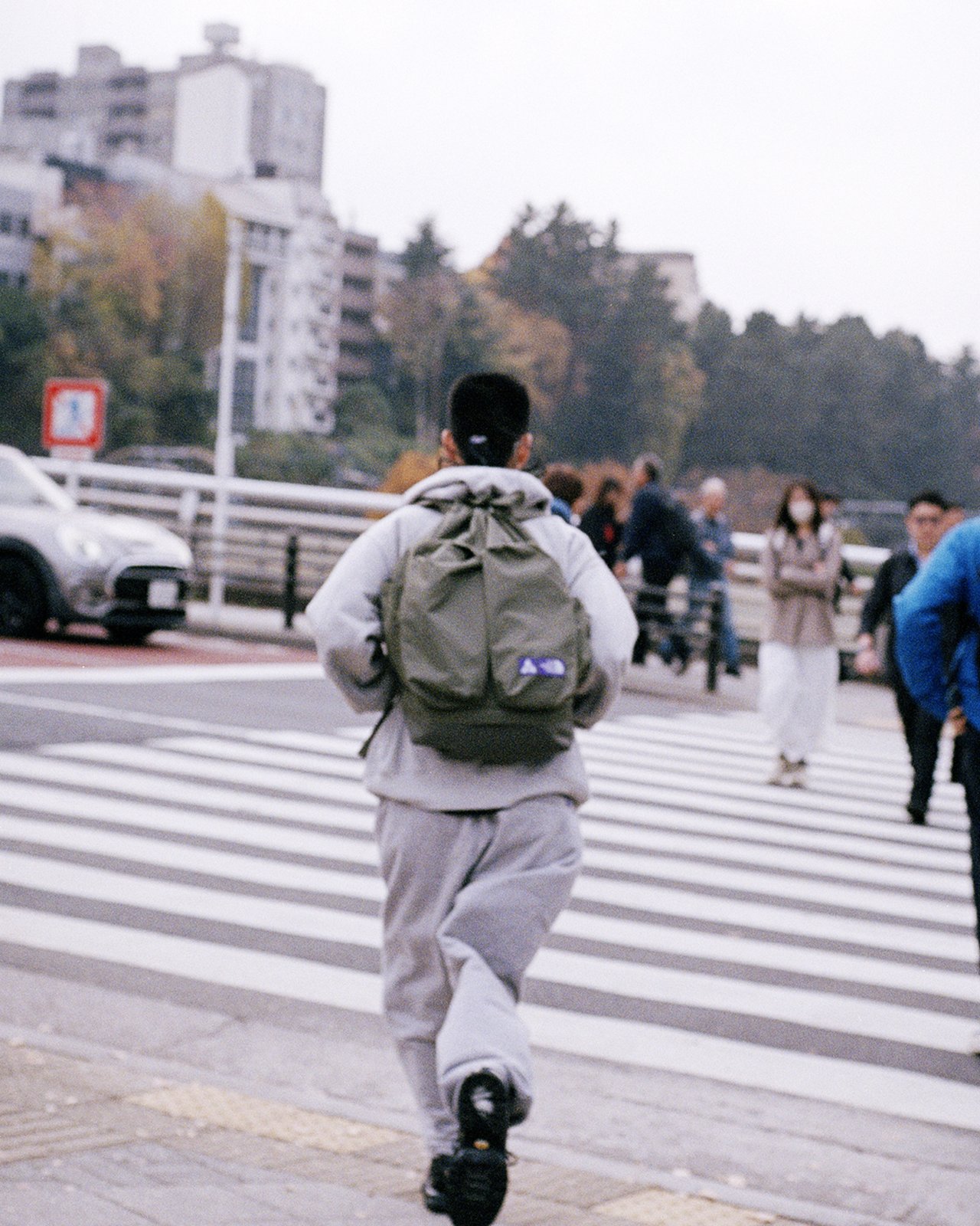 ザ・ノース・フェイス パープルレーベル×パレス スケートボード」の