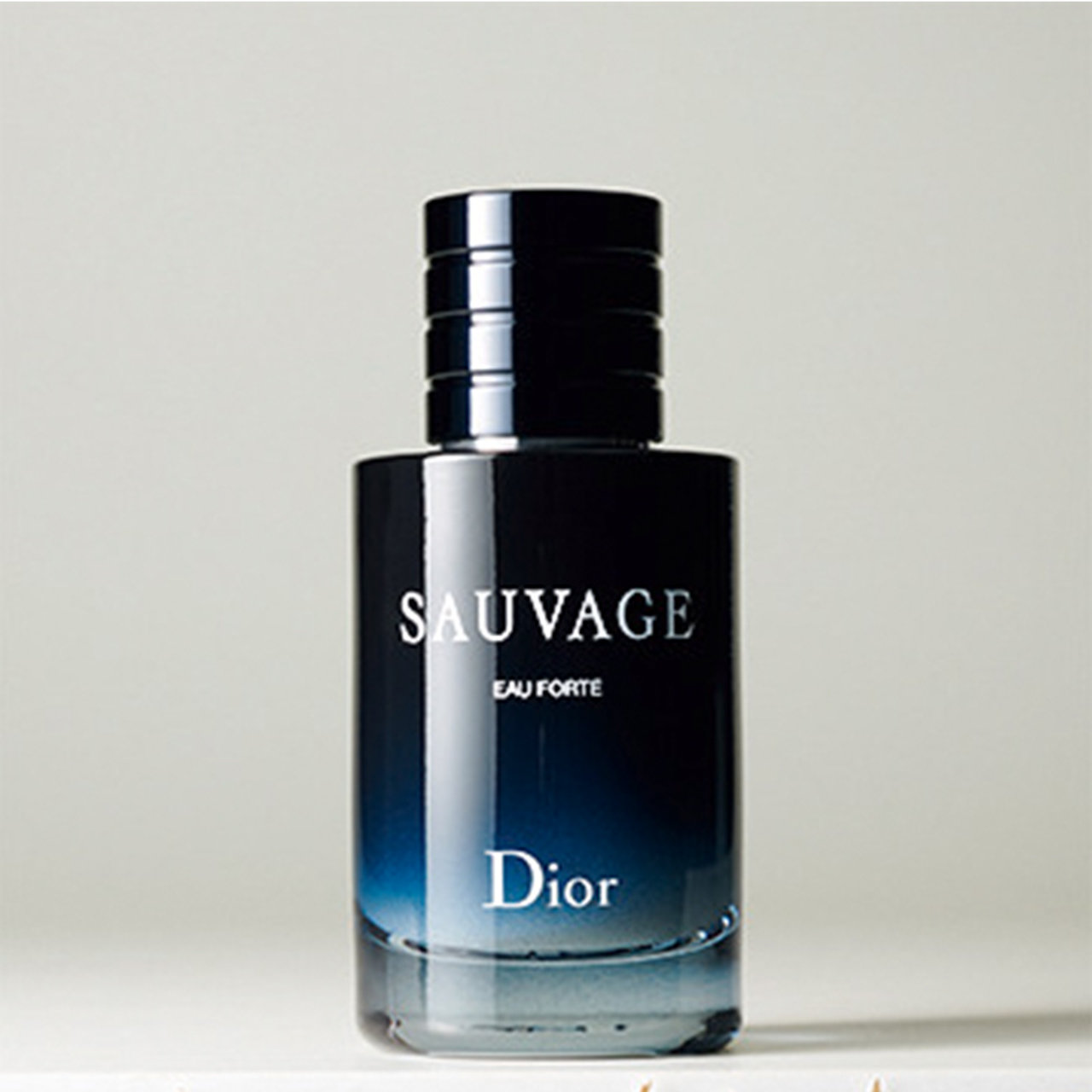 エルメス、シャネル、ディオール 名品から新作まで、メゾンの