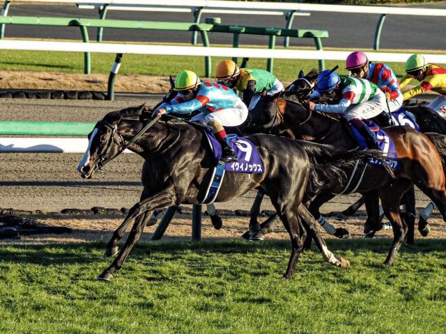 ダービー馬 ホースフィギュア 5体 ドウデュース ダノンデサイル コン