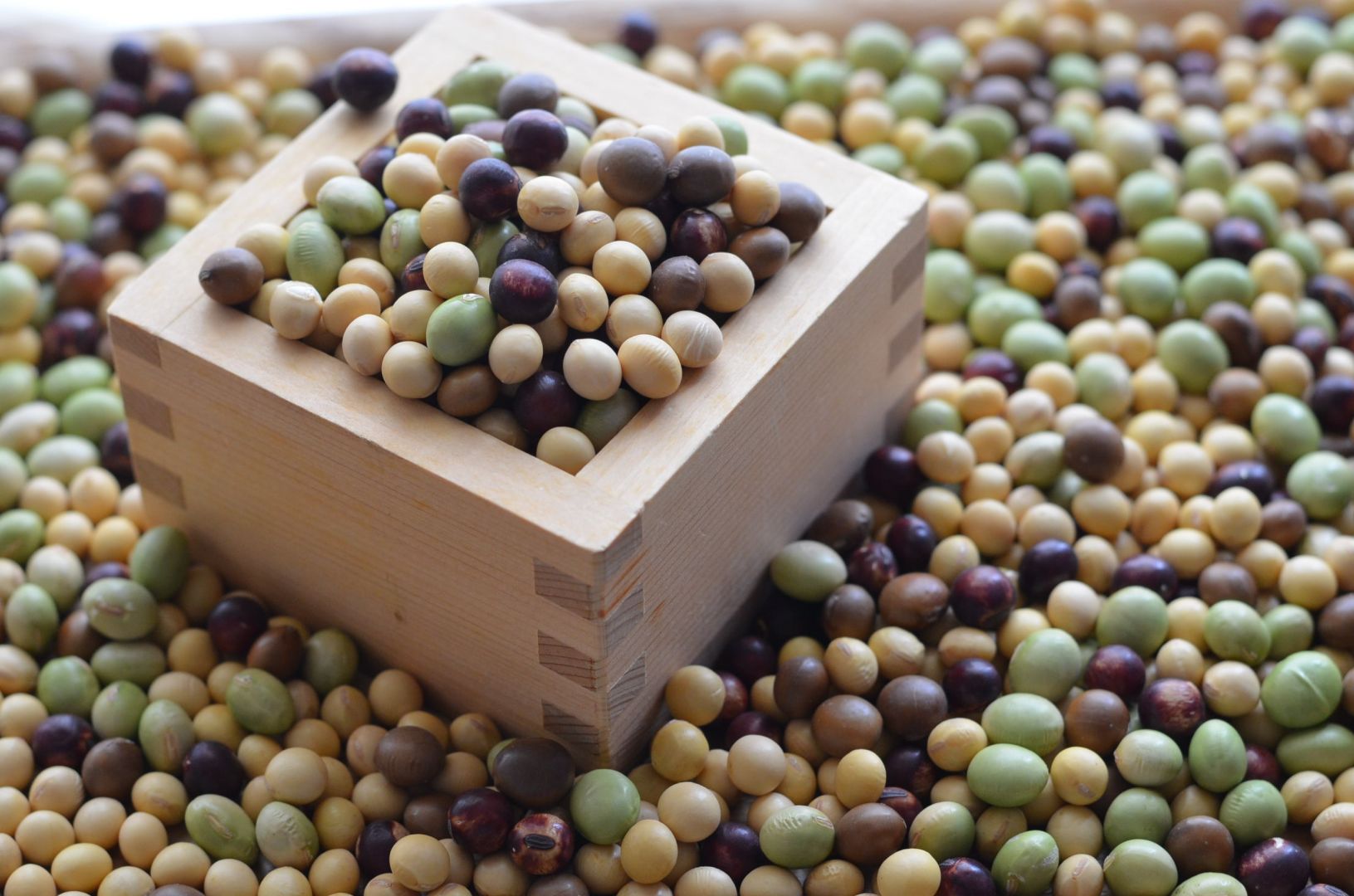 令和7年産】マーブル【ミックス豆】1kg (4種の大豆) 契約農家栽培