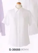 長袖ブラウス セロリー S-36678 オフィスウェア・ユニフォームの専門店