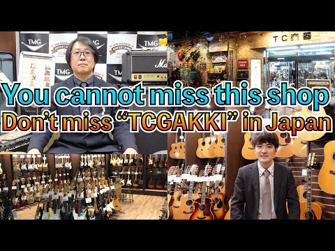 SIRVARZ EFFECT Artizan Over Drive | Reverb France