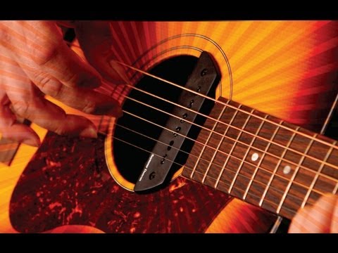 Seymour Duncan Mag Mic™ Pickup | Seymour Duncan