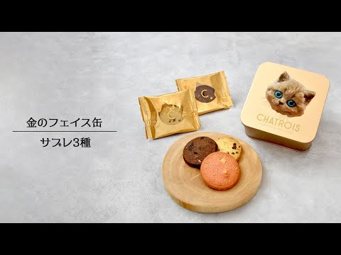 金のフェイス缶 サブレ3種5枚入｜猫スイーツ・猫モチーフお菓子通販