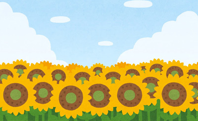 SP もうひとりの天才“ラボメン”「比屋定 真帆」(サイン入り) 買取