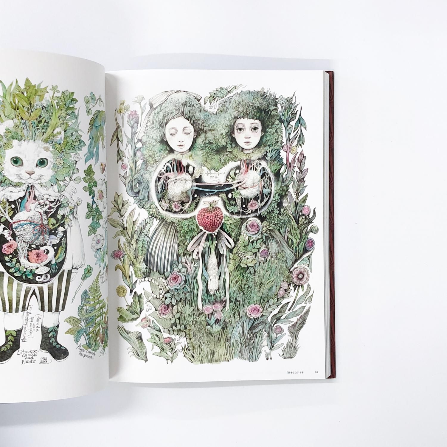 ヒグチユウコ画集 | CIRCUS | Exhibition | Edition - ノースブック