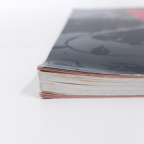 フジ子 | ヘミング | もうひとつの世界展 | 作品集 - ノースブックセンター