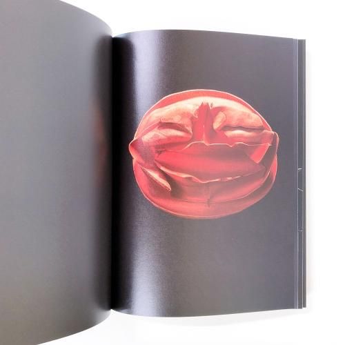 魔の山 | 中川幸夫作品集 - ノースブックセンター