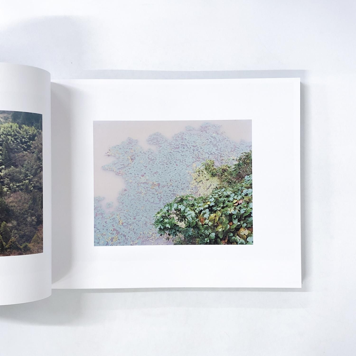 図録 | 写真と絵画 | セザンヌより | 柴田敏雄と鈴木理策 - ノース