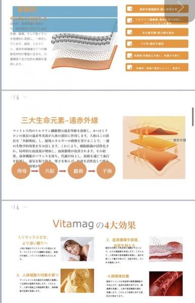 viiva 遠赤外線磁場ポータブルマットレス 大小2枚セット(カバー付き