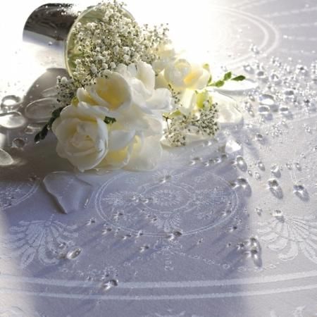 ガルニエ ティエボー 撥水ランチョンマット【撥水GS】 - テーブル