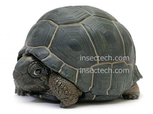 178092003.jpg?cmsp_timestamp=