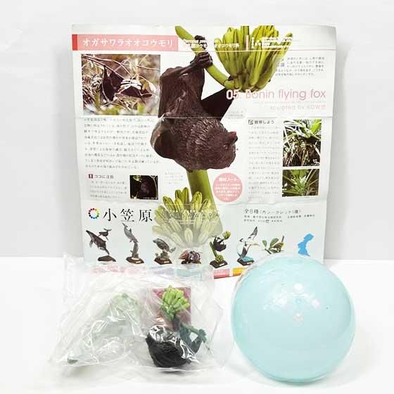 いきもん NATURE TECHNI COLOUR（ネイチャーテクニカラー）小笠原
