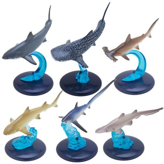 いきもん ネイチャーテクニカラー400 サメ 全6種フルセット