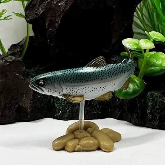 ユージン 原色図鑑シリーズ 原色淡水魚図鑑I（改訂版） ニジマス（単色