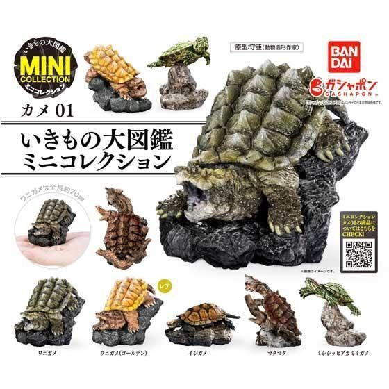 バンダイ いきもの大図鑑ミニコレクション カメ01 全5種フルセット