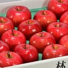 サンふじと季節のりんごセットLL - 【りんご通販小沢田果樹園】青梅