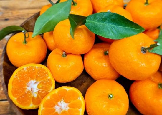 ボンブ | 高田みかんゼリー 8個入 - 八代よかとこ物産館