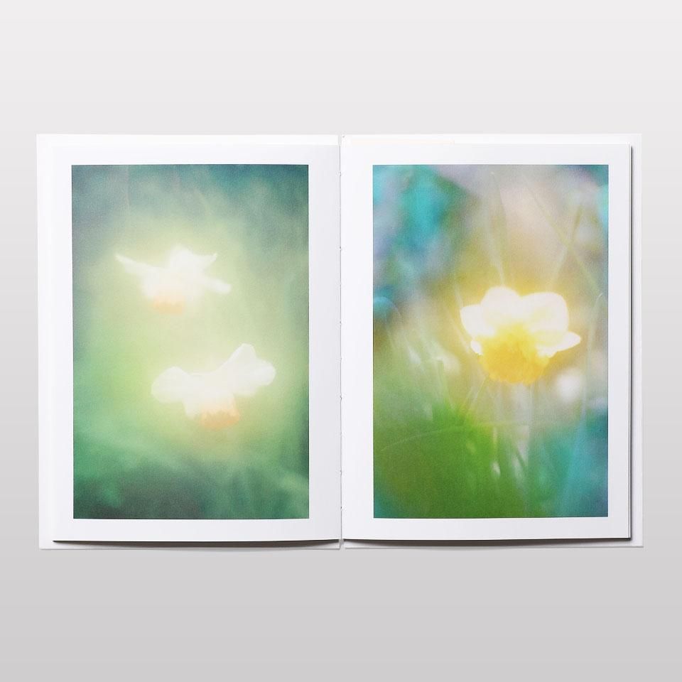 再入荷】The Autumns of Spring - BOOK AND SONS オンラインストア