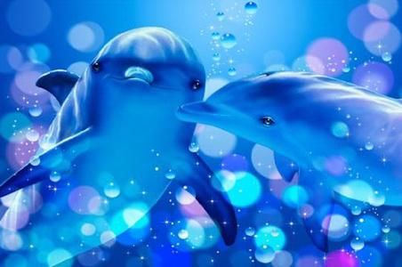 ラッセン「kissing dolphins」 ポスター 通販/販売 | ポスッタ