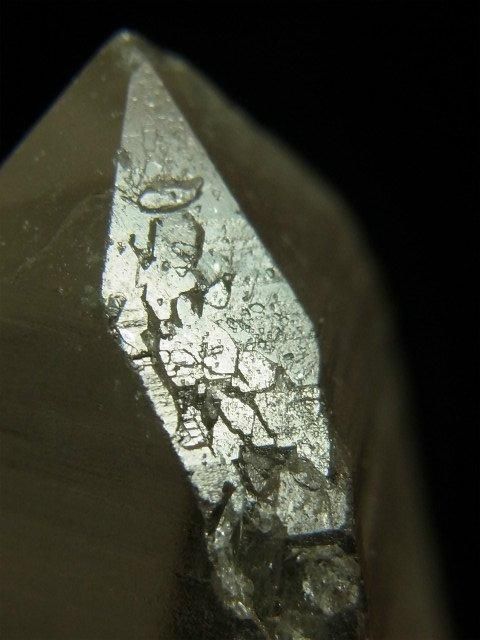 レムリアンシード大型ペンダントトップ 52 イシスに微細なトライゴー