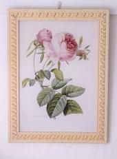 ルドゥテのバラのフレーム額絵、シシリーメアリーバーカーのフラワー