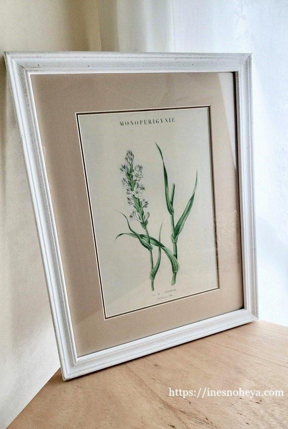 ボタニカルアートフレーム額（植物画）A - フランスアンティーク