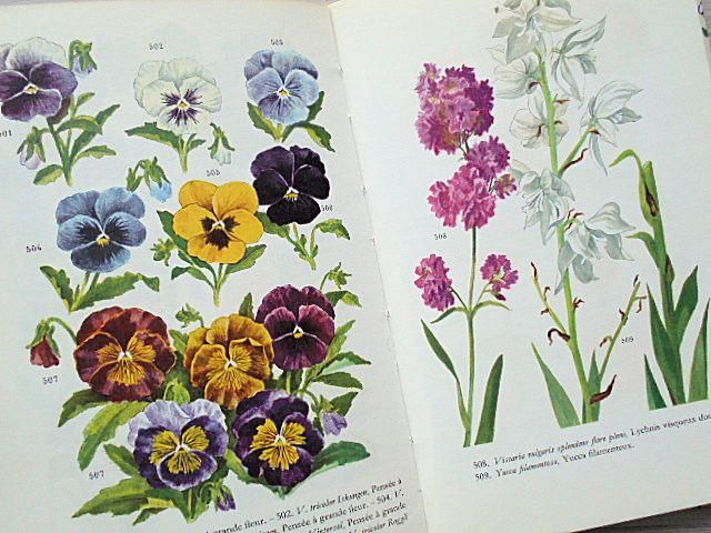 FLEURS DE JARDEN | フランスの庭の花図鑑 - 外国の古くてかわいい絵本