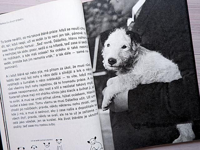 ダーシェンカ | カレル・チャペック - 外国の古くてかわいい絵本たち