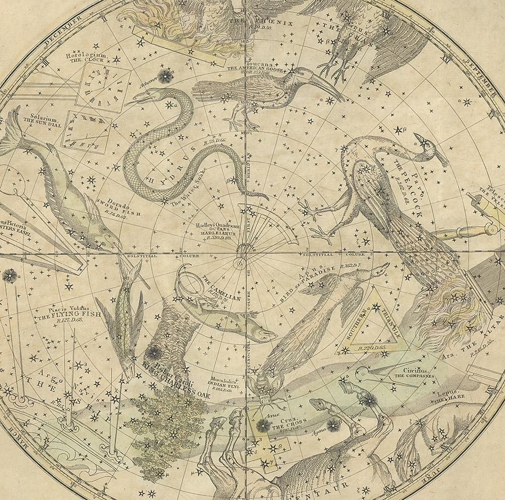 天文図版「バリット星図・南天の星座」（アメリカ 1835年） - Guignol