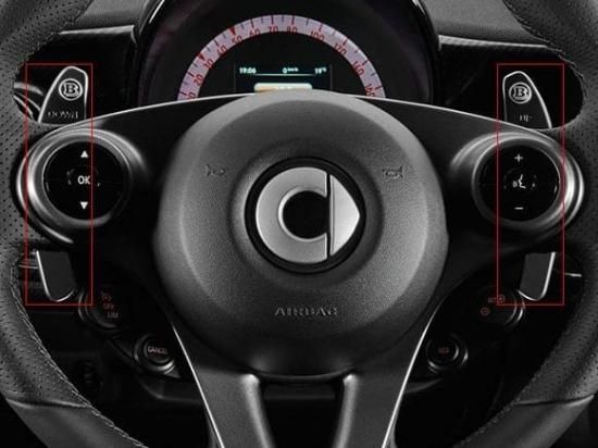 BRABUS ブラバス純正パドルシフト smart スマート 453