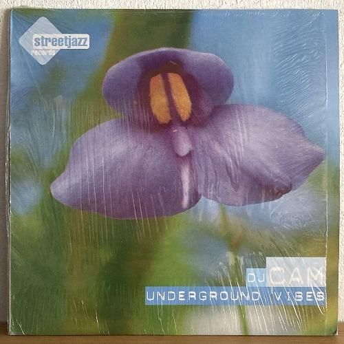 DJ Cam / Underground Vibes (LP) - silencia music store