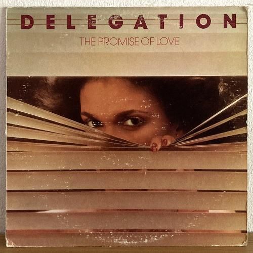 Delegation / The Promise Of Love (LP) - silencia music store