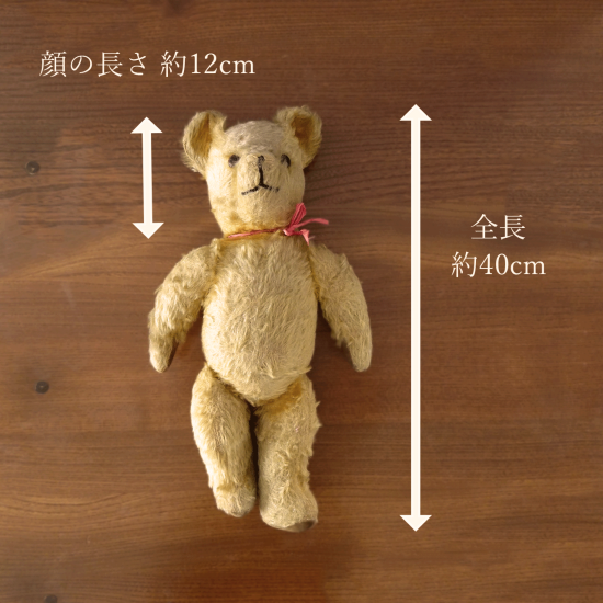 アンティークテディベア | イギリスヴィンテージ ペディグリー