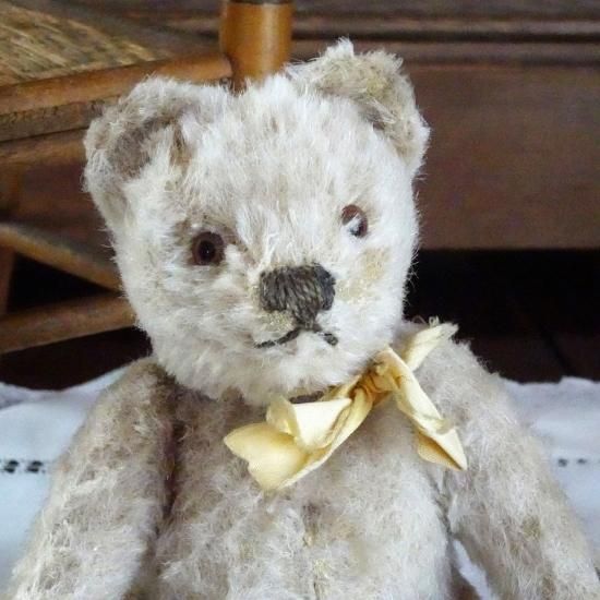 ヴィンテージ シュタイフ | 小さなテディベア（Original Teddy）サイズ