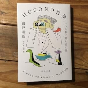 細野晴臣と横尾忠則Cochin Moon (LP) - パライソレコード