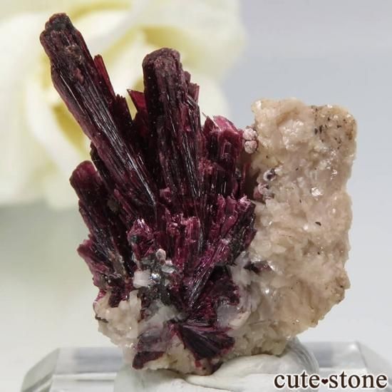 モロッコ産 エリスライトの原石 (鉱物標本) 4.2g - cute stone -