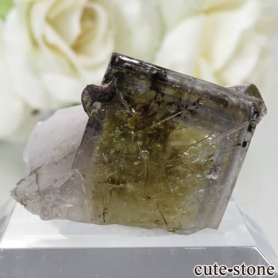 レディアナベラ The Bull vein産 フローライトの結晶（原石）No.15