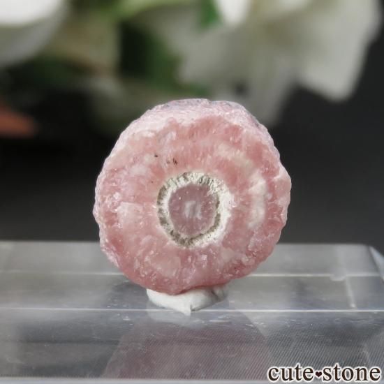 アルゼンチン Capillitas産ロードクロサイト（インカローズ）の