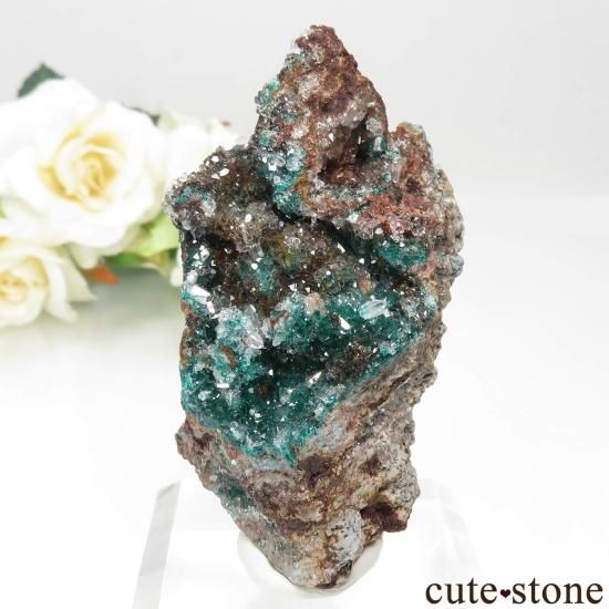 コンゴ共和国 Mindouli産 ダイオプテーズ＆クォーツの原石 No.8 - cute