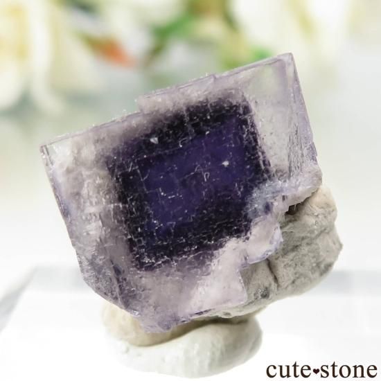 アメリカ オハイオ州 Auglaize Quarry産 フローライトの原石 No.3