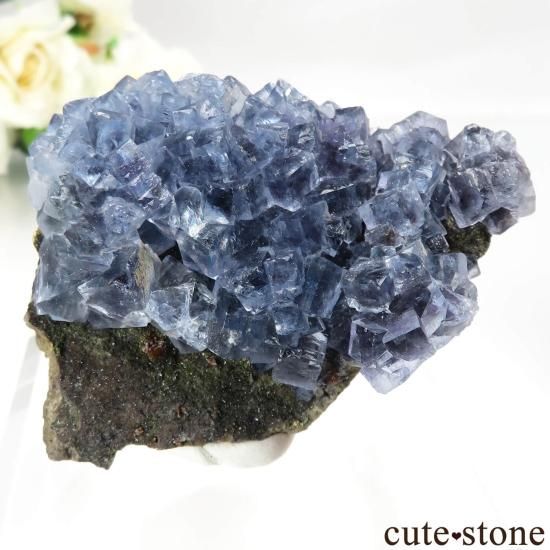 スペイン Emilio Mine産 ブルーフローライトの原石 No.15 - cute stone -