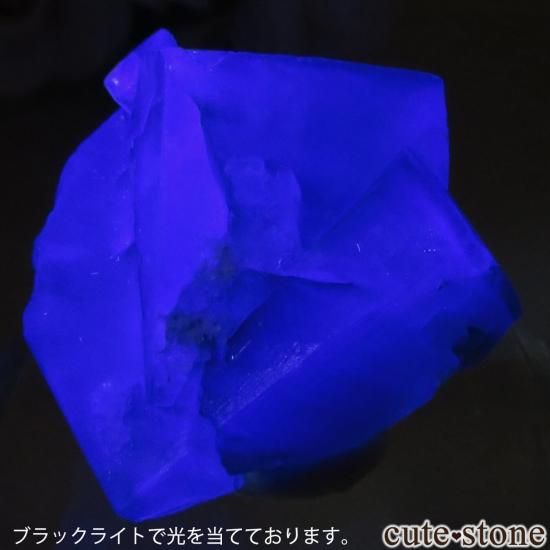 レディアナベラ（Lady Annabella）Excavator Terminator Pocket産