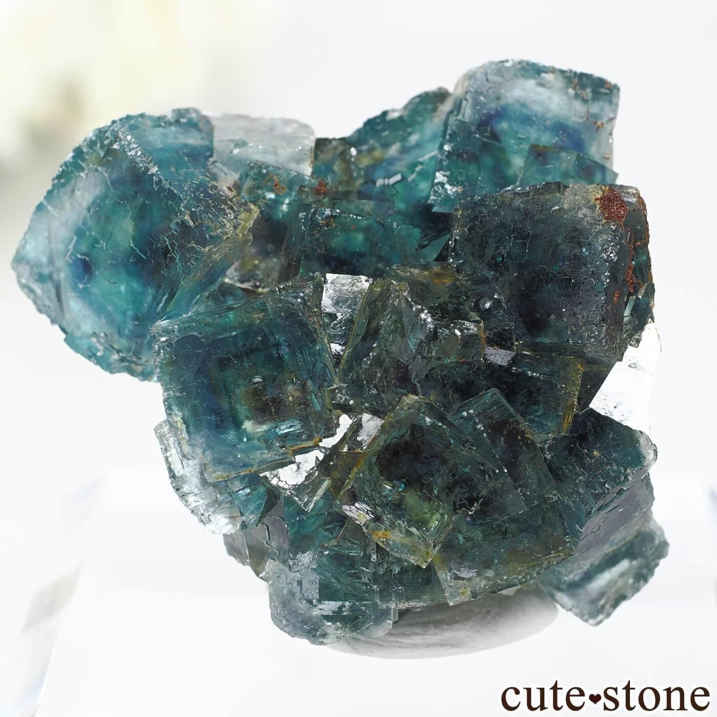 ナミビア Okorusu Mine産 フローライトの原石 No.65 - cute stone -