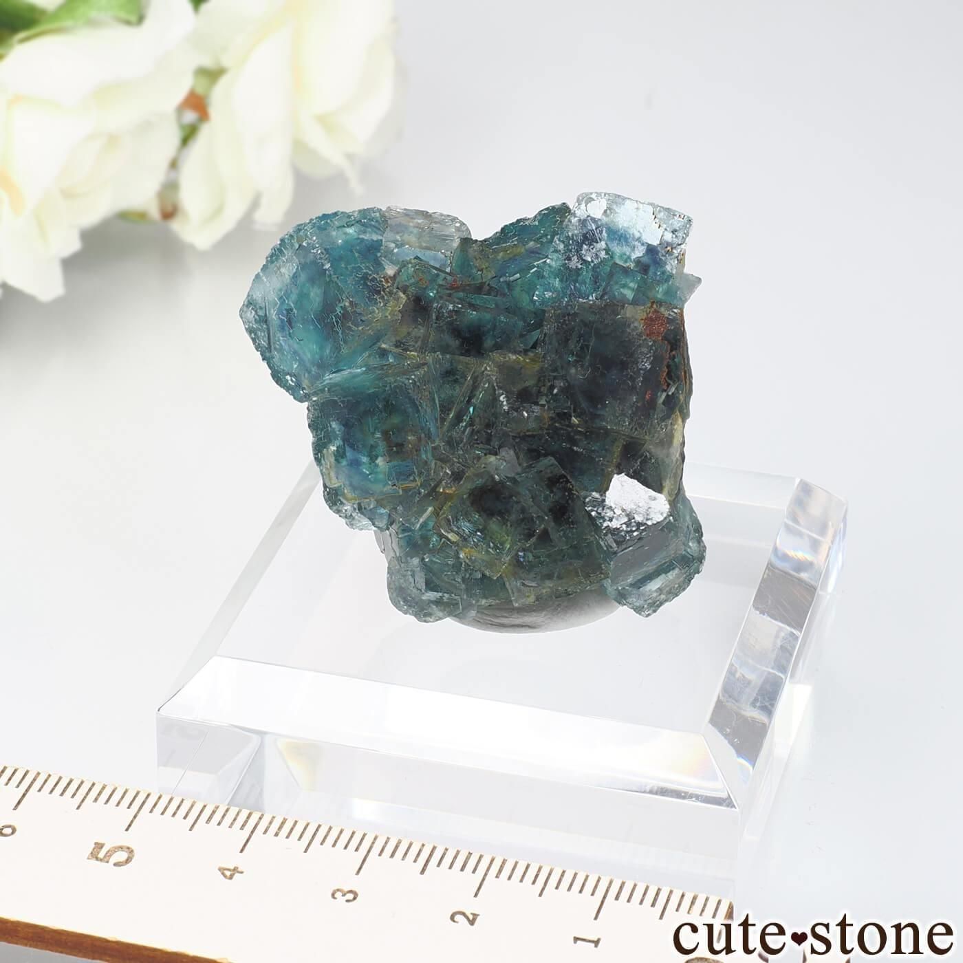 ナミビア Okorusu Mine産 フローライトの原石 No.65 - cute stone -