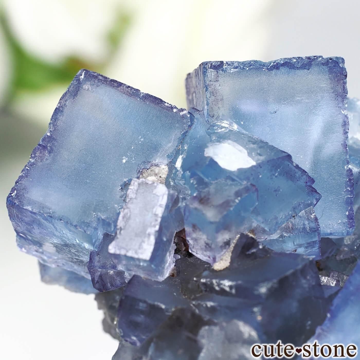 アメリカ イリノイ州 ブルーフローライトの原石 No.30 - cute stone -