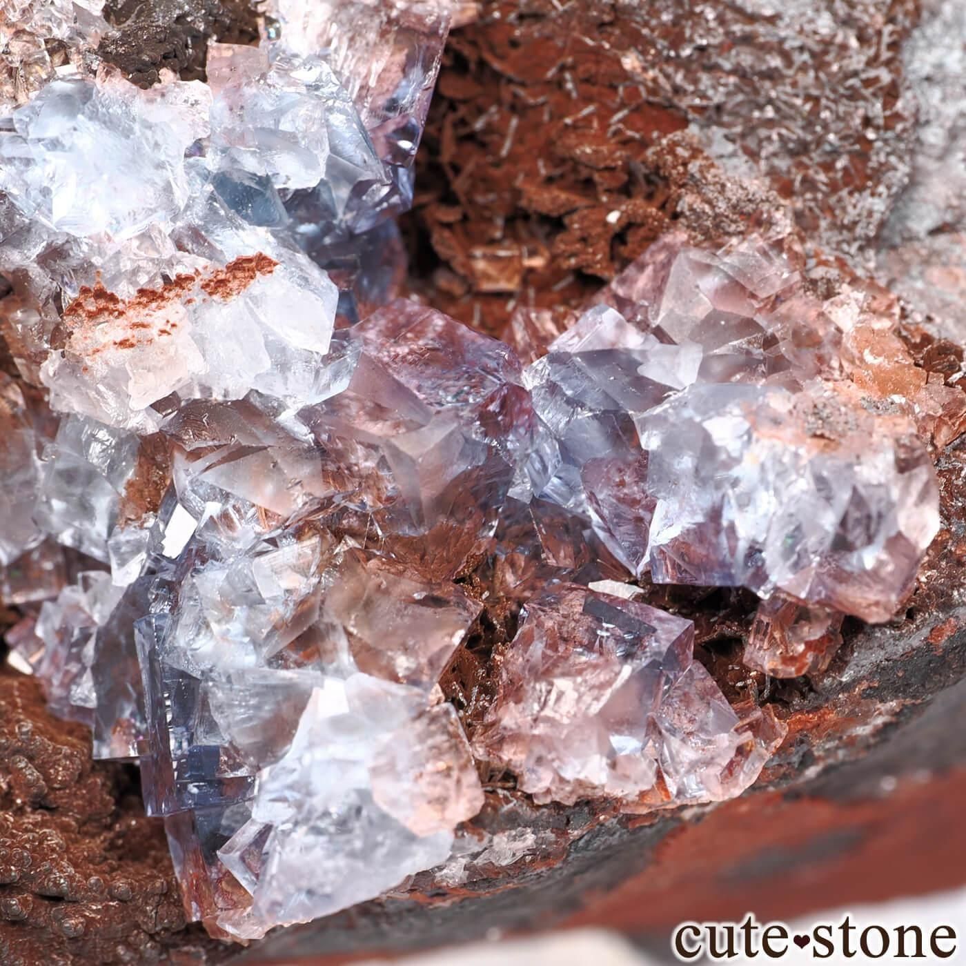 フローライトとヘマタイトの鉱物コレクション フローライトと